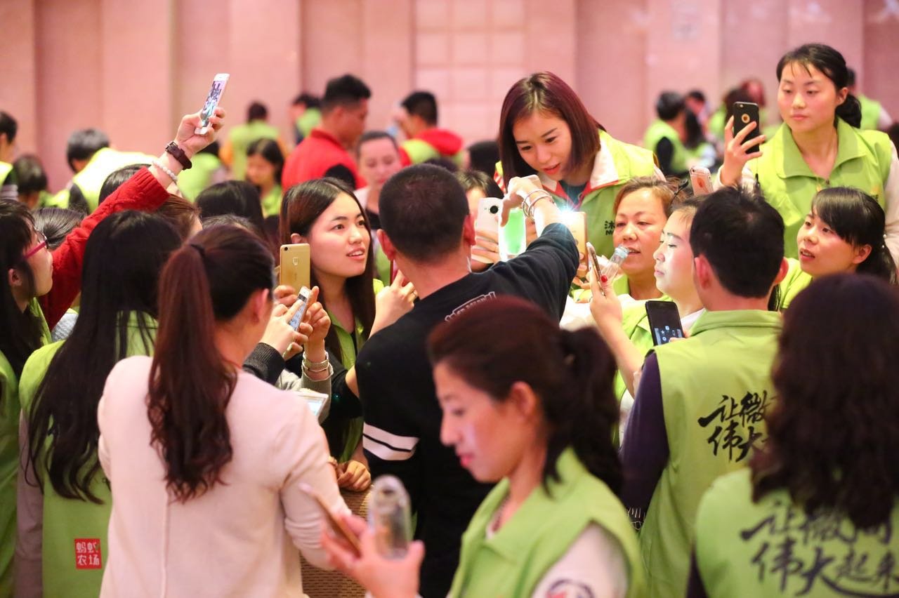 蚂蚁农场系列,蚂蚁农场基地