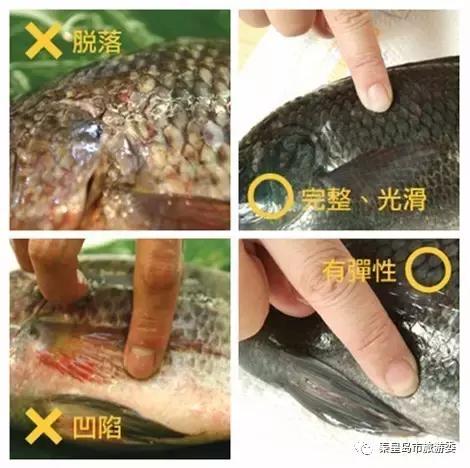 秦皇岛人吃螃蟹,秦皇岛海鲜什么时候吃最好