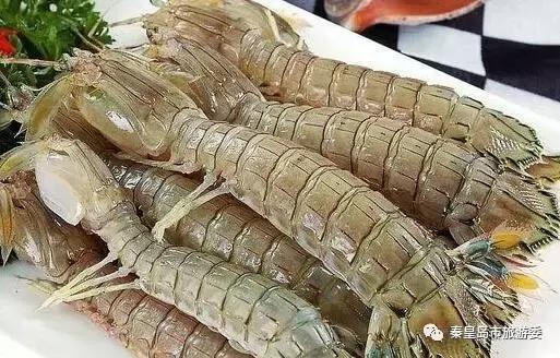 秦皇岛人吃螃蟹,秦皇岛海鲜什么时候吃最好