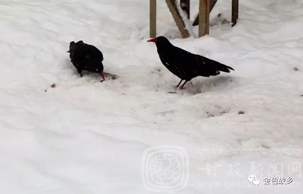 邂逅在最美的冬季,邂逅在秋天的图片