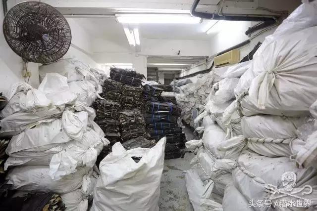 禁令之下，鱼翅照运？