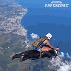 看见刘总从车上拎包下来，跑过去：刘总，我来拿！