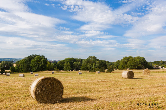 歌德与席勒,歌德为席勒写的诗