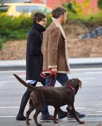 小区很多野狗,小区到处都是狗粑粑谁来管