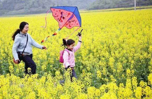 用VR看花海是种怎样的体验?这周就去免费看~