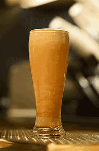 星巴克黑啤酒多少钱一箱,星巴克单店一天卖200杯咖啡