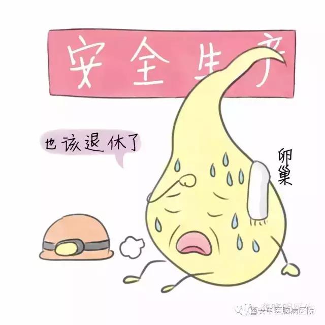 著名女中医养生专家,中医专家告诉你怎么做