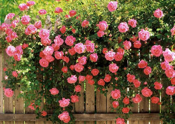 关于那些偷偷惊艳你的国货,一些不常见但能惊艳你的国货