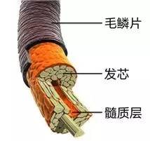 专业烫发和免打理烫发有什么不同,不同烫发到底有什么区别