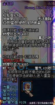 dnf特别快递礼盒宠物,dnf特别快递宠物礼盒哪个好看