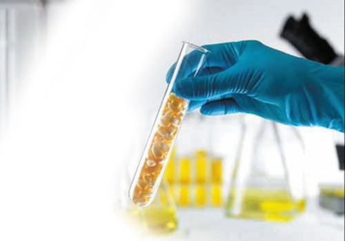 真正的硅藻泥有缺点吗,硅藻泥真有那么神吗