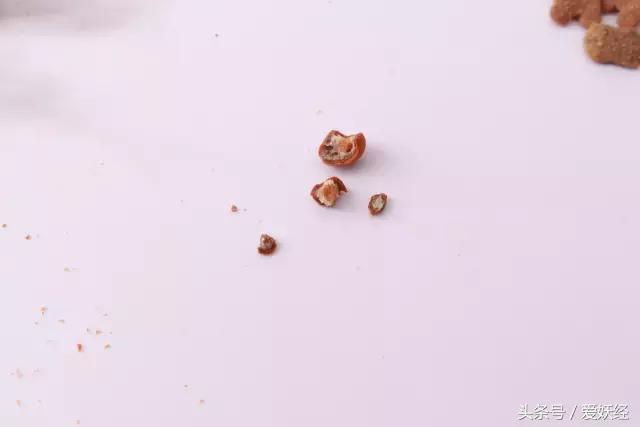 宠物洁牙方法,无麻醉宠物洁牙教程