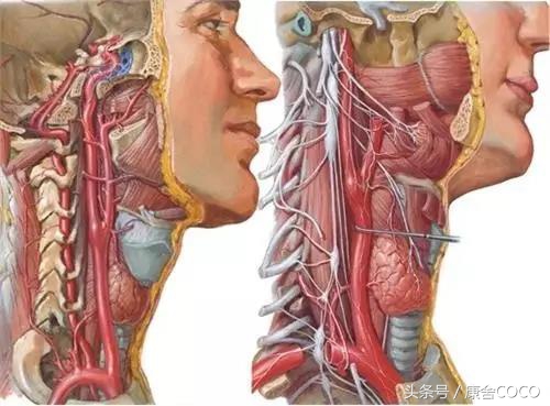 广州华彩健康管理中心谈:面部抽动症竟可能是颈椎错位所致!