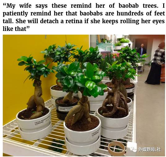 啥都有了还想逛?你家有没有一个酷爱在宜家乱买东西的女人?