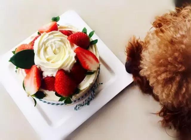 厦门甜点推荐,厦门的甜品推荐