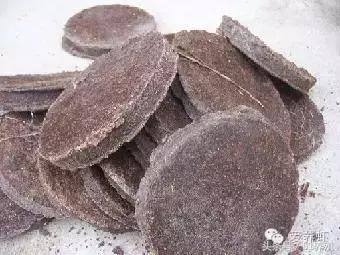 对虾纤毛虫处理方法,对虾有纤毛虫有什么影响吗