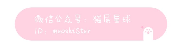 种草好物背包推荐,双肩包推荐小众高级感平价