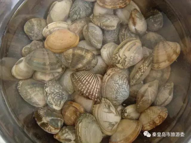 秦皇岛人吃螃蟹,秦皇岛海鲜什么时候吃最好