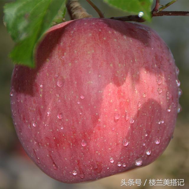 嘴唇干裂用什么护肤品好,不是所有问题都有解决的办法