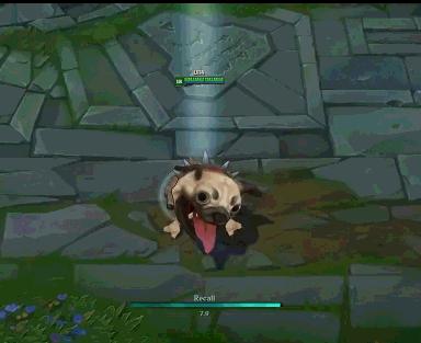 loluzi常用的英雄皮肤,愚人节哈巴狗皮肤