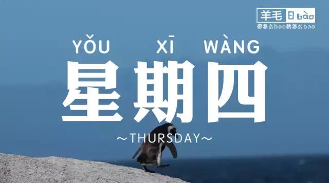 羊毛日报最新信息,羊毛日报