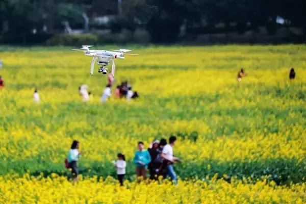 用VR看花海是种怎样的体验?这周就去免费看~