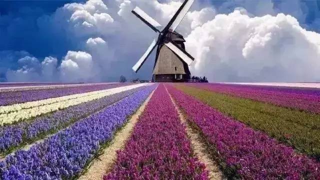 周末特色旅游景点推荐沈阳,沈阳周末好去处长白岛森林公园