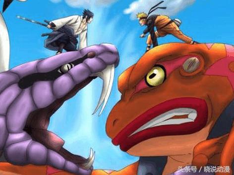 火影忍者通灵兽蛞蝓进阶,火影忍者纲手通灵兽蛞蝓