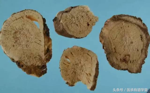 中药苦参各种小偏方,经典名方中药苦参