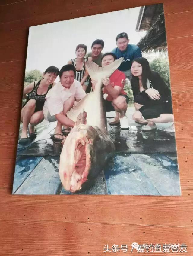 泰国巨骨舌鱼钓场位置,泰国钓鱼钓巨物位置