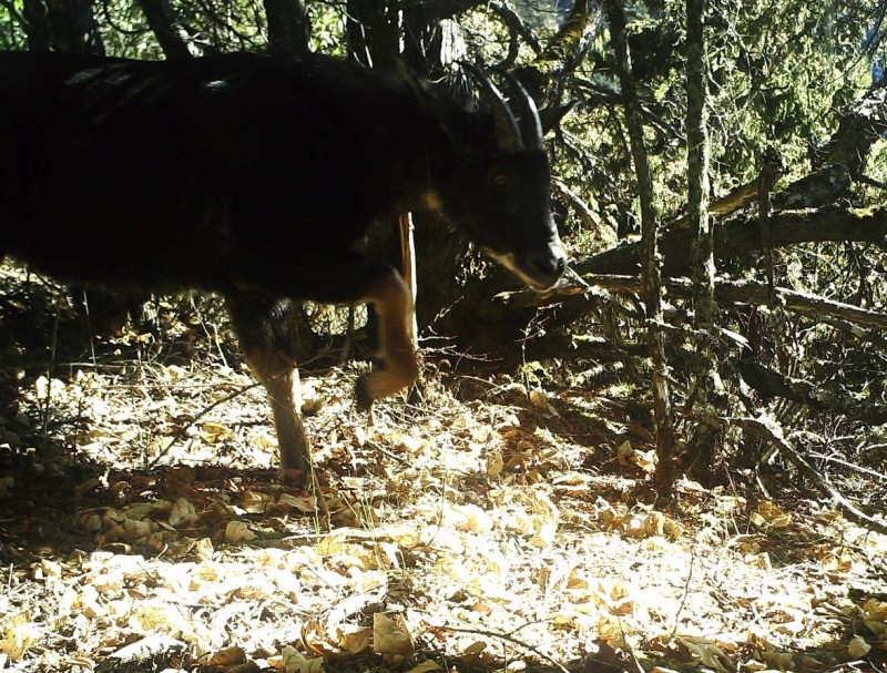 森林之眼好玩吗,森林之眼在景区哪个位置