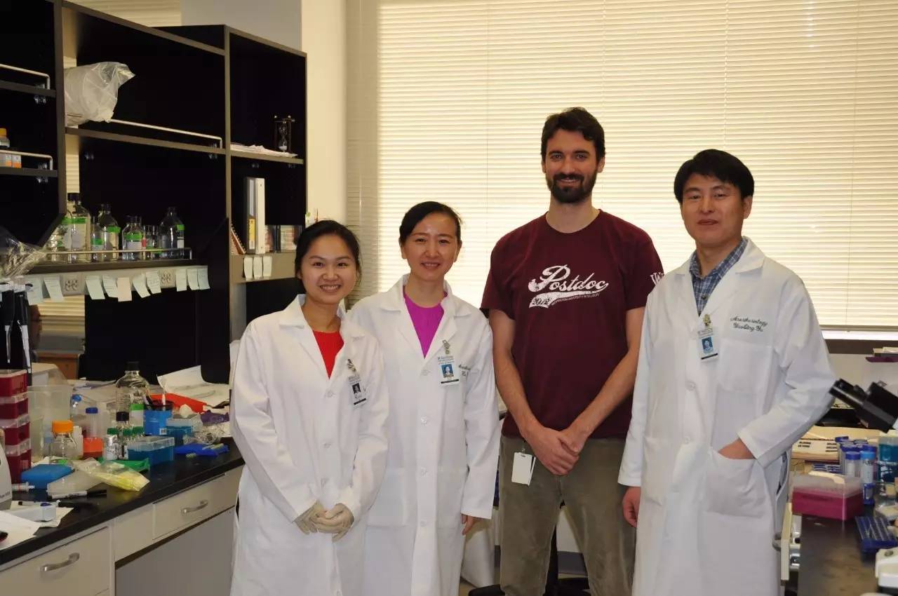 小鼠挠痒正常吗,小鼠挠痒是怎么回事