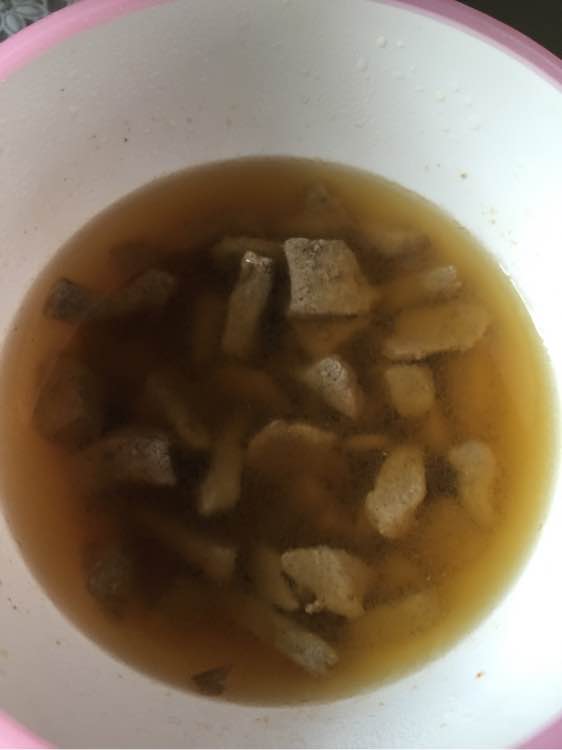 捡到的残疾泰迪狗,捡到被遗弃的泰迪