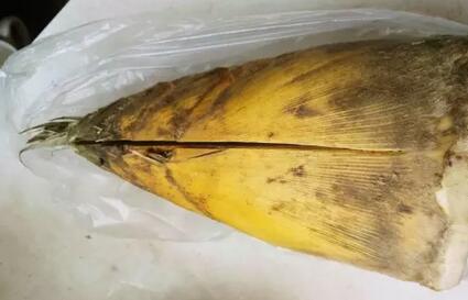 手剥笋怎么除涩,笋要怎么去酸涩