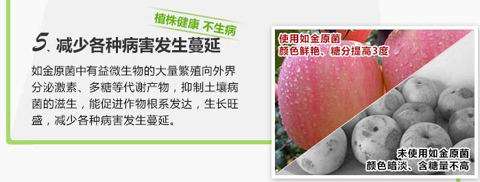 猪粪过多的土地怎么办,猪粪露天堆放的危害到底有多大