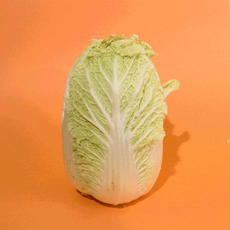 隔夜的炒白菜还能吃吗,炒熟的白菜隔夜还能吃吗