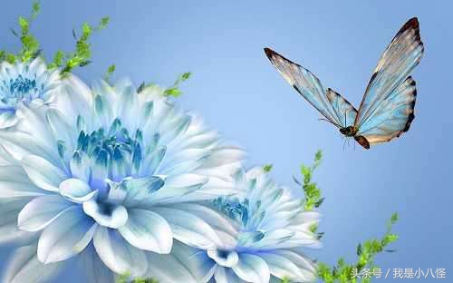 sk-ii最热销的产品,十大顶级高端护肤品sk2神仙水价格