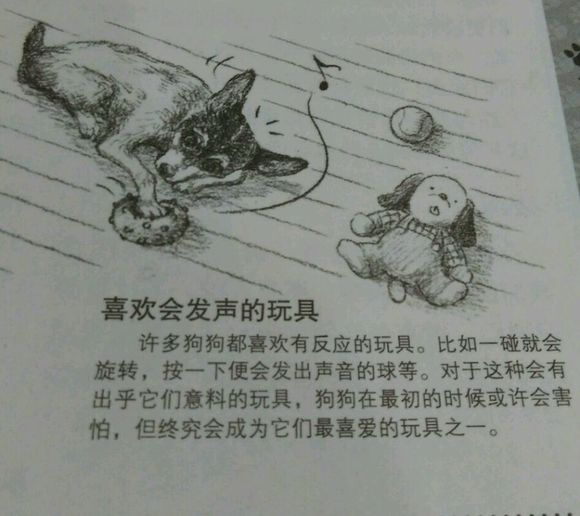 科普狗狗,全面解读狗狗的心理