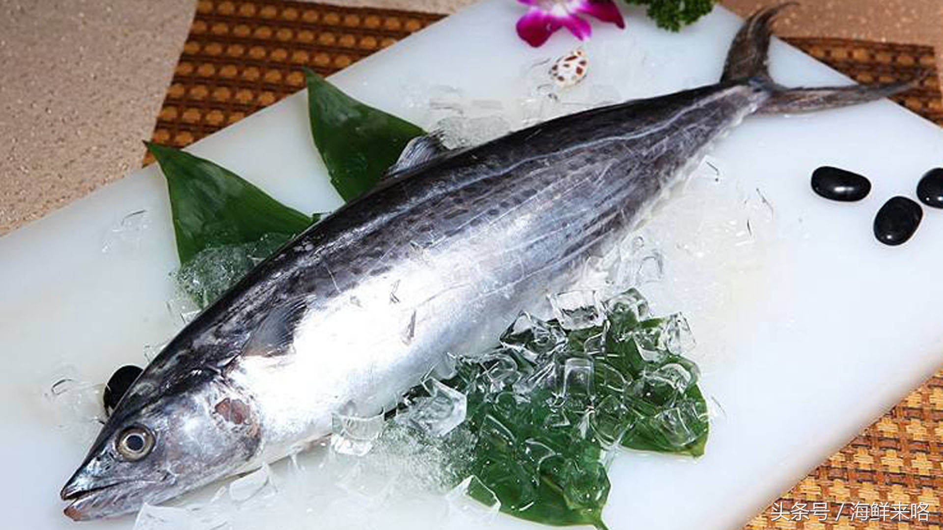 哪种海鱼吃着最简单,哪种海鱼喜欢吃肉