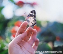 招聘打字员兼职日结会费骗术,兼职打字员是诈骗吗