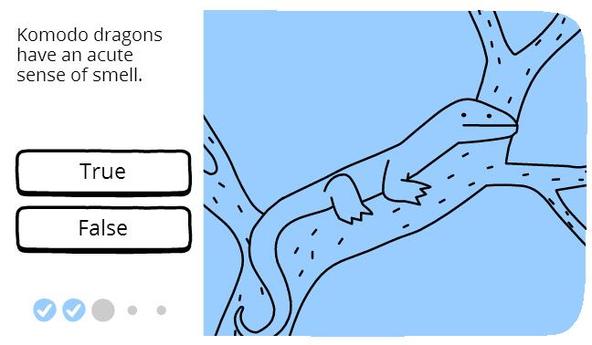 科莫多龙冷知识,科摩多龙会站起来吗