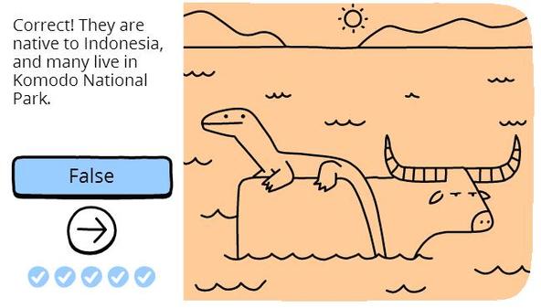 科莫多龙冷知识,科摩多龙会站起来吗