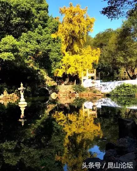 厉害了昆山陆家,厉害了江苏