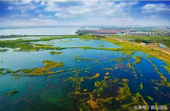 厉害了昆山陆家,厉害了江苏