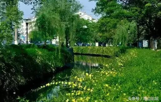 厉害了昆山陆家,厉害了江苏