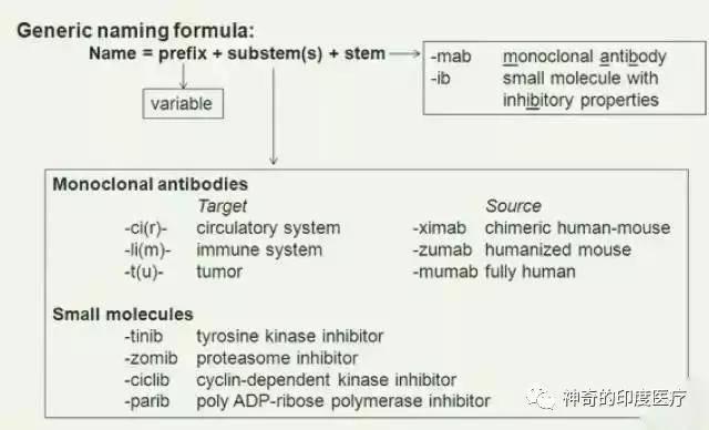 肿瘤精准靶向治疗发展历程,肿瘤靶向治疗有哪些