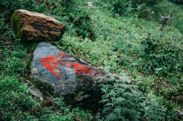 大漠户外旅行虎跳峡徒步详解,虎跳峡徒步168级勇者云梯