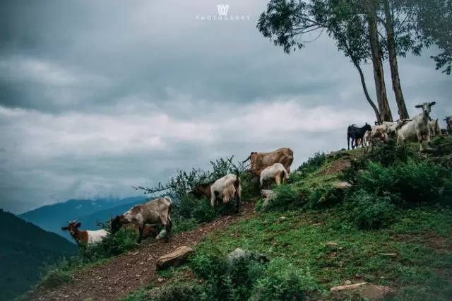 大漠户外旅行虎跳峡徒步详解,虎跳峡徒步168级勇者云梯