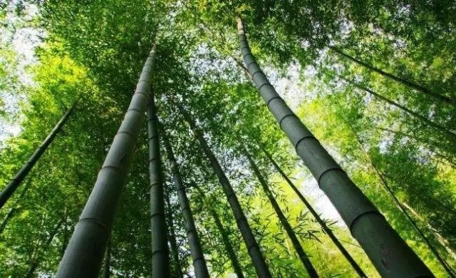 常州景区半价活动,女神节附近有免门票的景点吗