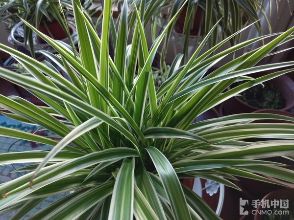 htcuultra评测参数,htcuultra测评